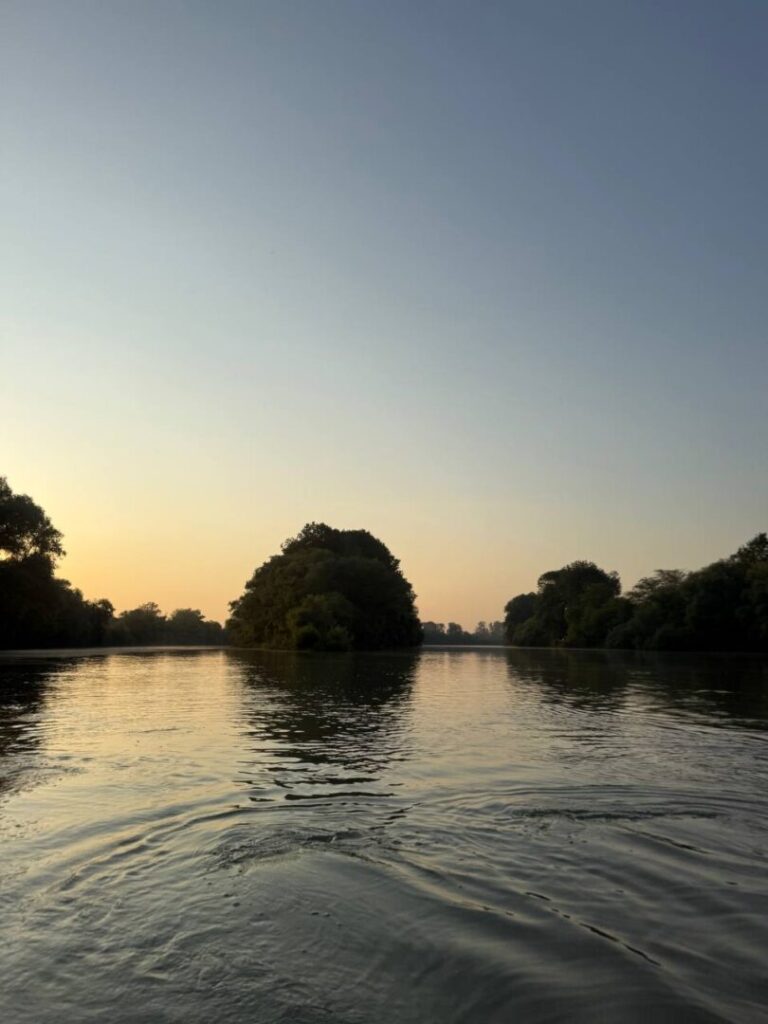 IMG_20250708_164013_308